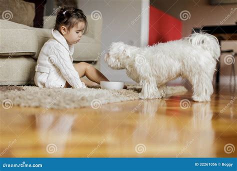 Little girl with a dog stock photo. Image of inside, cute - 32261056