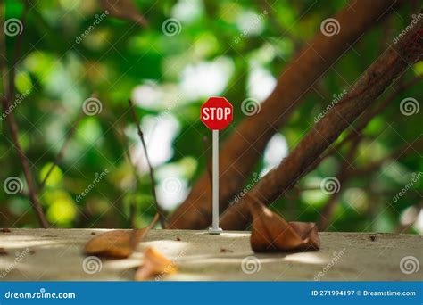 A miniature stop sign stock image. Image of driveway - 271994197