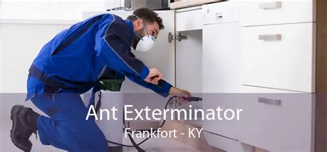 Ant Exterminator Frankfort, KY - Ant Exterminator Near Me