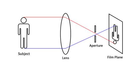 10 Useful Digital Photography Tutorials for Beginners - WebFX