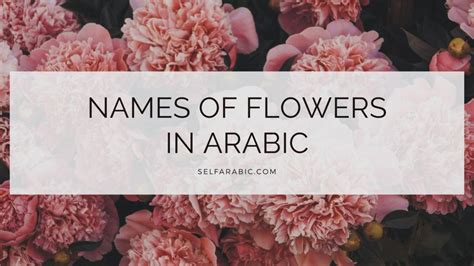 arabic flower names Archives - Selfarabic