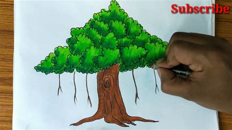 Banyan Tree Picture Drawing - I tonight just was told that the tree i was drawn to wasn't a ...