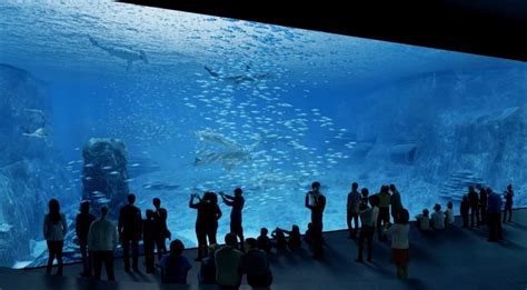 Aquarium Megastructure: NAUSICAA inside Europe’s largest fish tank ...