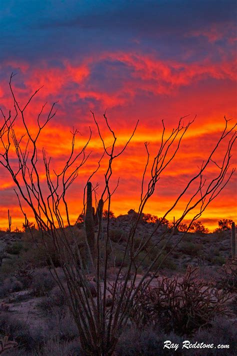 Sky On Fire Sunrise In The Arizona Desert | Sunset landscape, Sunrise images, Sunrise sunset