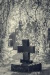 Grave With Flowers Free Stock Photo - Public Domain Pictures