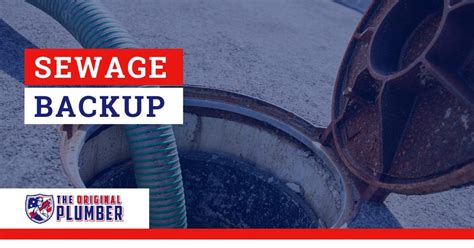 What To Do When You Have a Sewage Backup: Tips for Homeowners