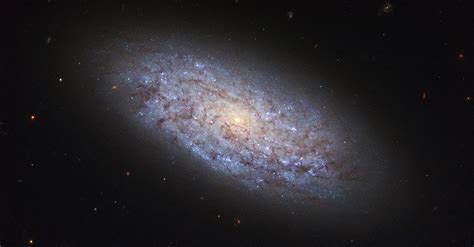 Hubble Displays a Dwarf Spiral Galaxy | NASA