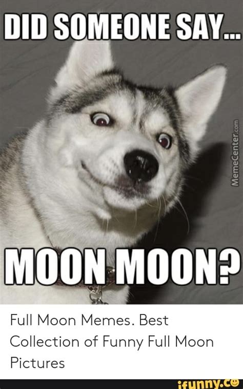 DID SOMEONE SAY... MOON MOON? Full Moon Memes. Best Collection of Funny ...