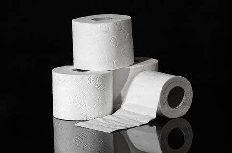 50 Toilet Paper Facts That You Never Knew You Needed