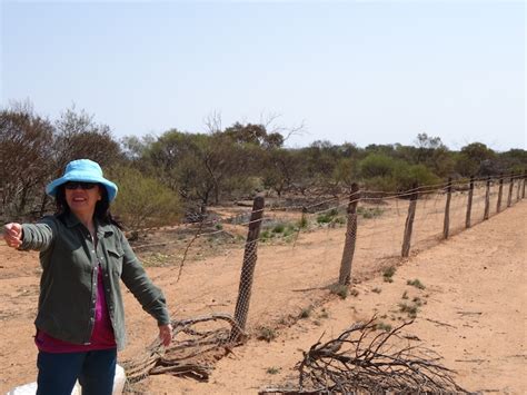 A Wandering Naturalist: Australia: Rabbit-Proof Fence