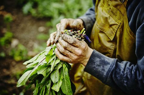 Is Organic Farming a Good Career Choice?