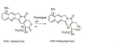 Chemical structures and equilibrium reaction between the lactone and ...