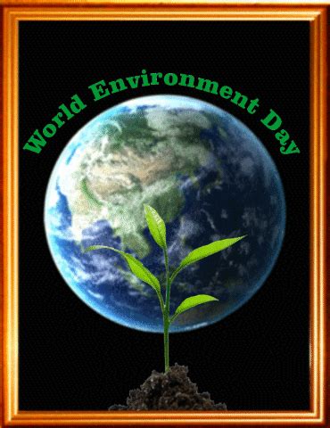 World Environment Day GIF, 3D & Animated Greeting For Whatsapp & FB 2017