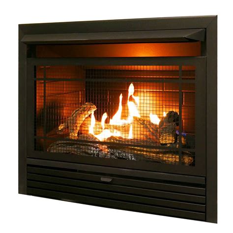 29" Gas Fireplace Insert Dual Fuel Ventless Firebox Insert with Remote - 26K BTU | eBay