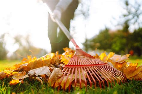 7 Leaf-Raking Tips to Make Fall Cleanup So Much Easier