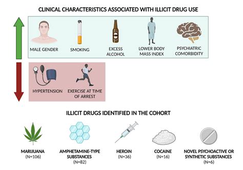 Illicit drug use is involved in nearly one in three sudden cardiac ...