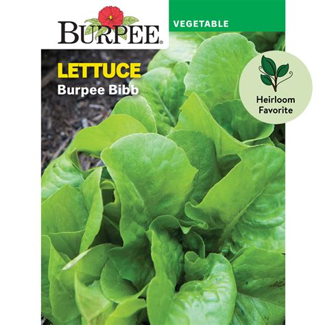 Burpee Heirloom Vegetable Seeds - 15,000+ Seeds - Beans, Beets, Cauliflower, Celery, Collards ...