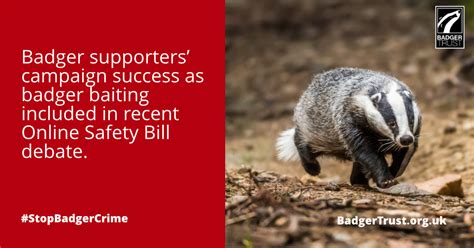 Badger Trust thanks supporters as badger baiting features in recent ...