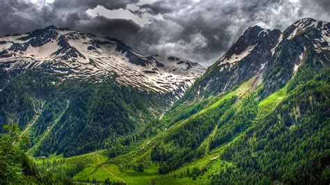 Download Cloud Forest Tree Switzerland Landscape Nature Mountain HD ...