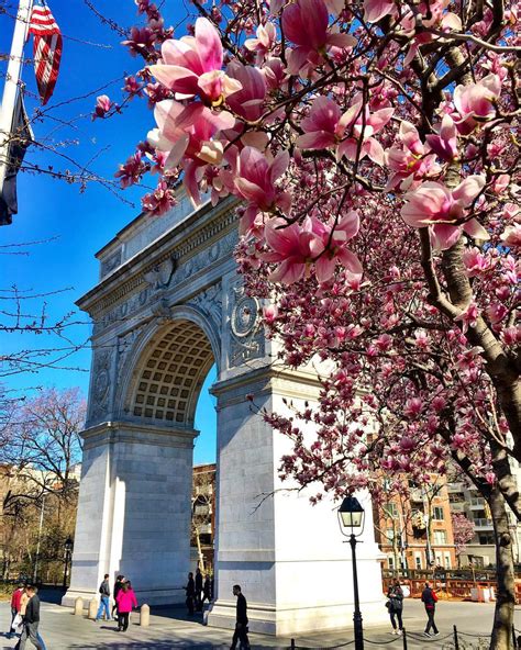 Top 5 Places to Enjoy Cherry Blossoms in New York This Spring