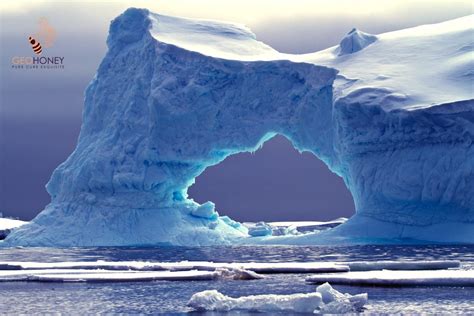 Melting Antarctic Ice Has Serious Climate Consequences | Geohoney