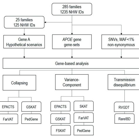 Pipeline of our study design. WES, whole exome sequencing; WGS, whole... | Download Scientific ...