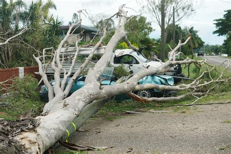 Townsville contractor allegedly assaulted while clearing green waste ...