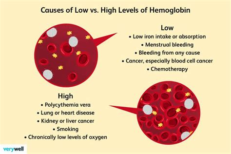 What Causes High or Low Hemoglobin Levels?