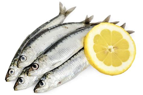 Sardine : cuisson, en boîte ou fraîche, au four