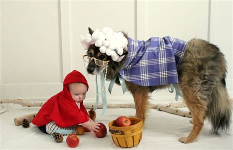 The Sweetest Little Red Riding Hood and the Big Bad Wolf Costume {a ...