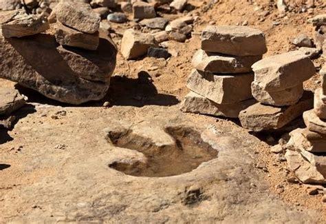 Red Gulch Dinosaur Tracksite, Greybull, northcentral Wyoming near Bighorn National Forest: https ...