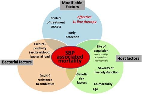 Spontaneous bacterial peritonitis: recent guidelines and beyond | Gut