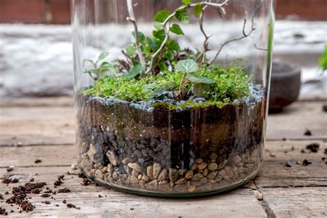 Gardening & Plants Terrariums Floral & Garden Crafts img.hospital