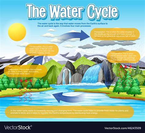Water Cycle Diagram Science Struck - vrogue.co