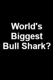 Watch World's Biggest Bull Shark? Streaming Online - Yidio