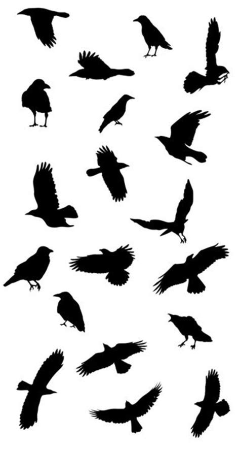 Tattoo ideas | Black bird tattoo, Crow tattoo, Bird stencil