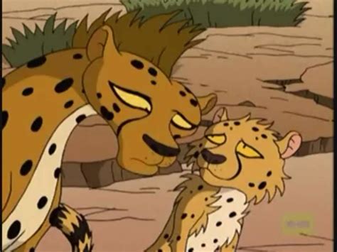 Cheetah | Wild Thornberrys Wiki | Fandom powered by Wikia