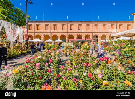 Flower fair in medieval village in Italy Stock Photo - Alamy