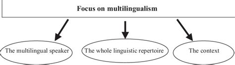 Focus on multilingualism | Download Scientific Diagram