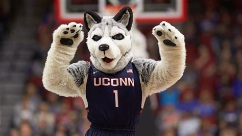 Marquette vs. UConn Prediction: Can Tristen Newtown, Huskies Dominate ...