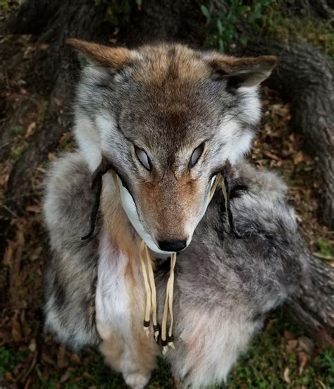 Coywolf Headdress | Wild Hearted One