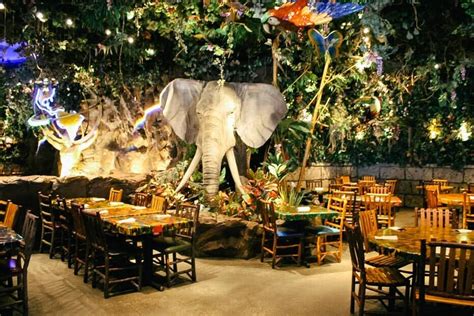 Review: Rainforest Cafe at Disney Springs