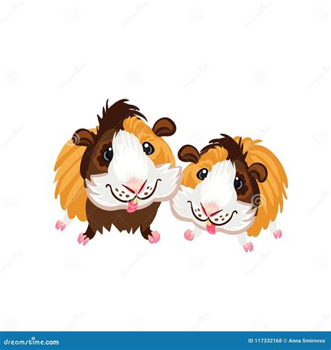 Two Funny Cartoon Guinea Pigs Clipart Illustration Vector Stock Illustration - Illustration of ...