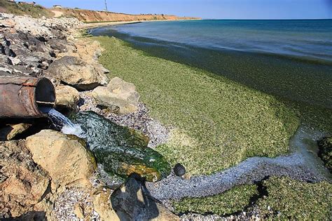 The Causes And Effects Of Ocean Pollution - WorldAtlas