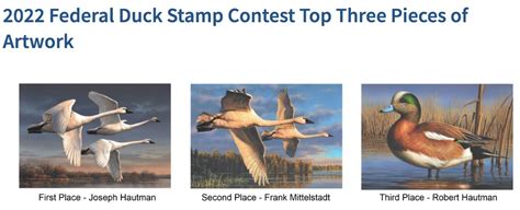 Artist Joe Hautman Wins 2022 Federal Duck Stamp… | Grand View Outdoors