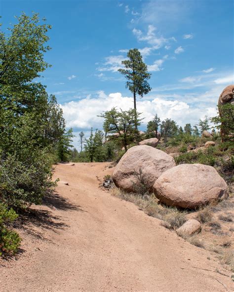 Rocky Trail in Arizona | Hiking, Hike adventure, Trail