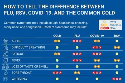 Flu Symptoms 2024 Nhs - Adi Felecia