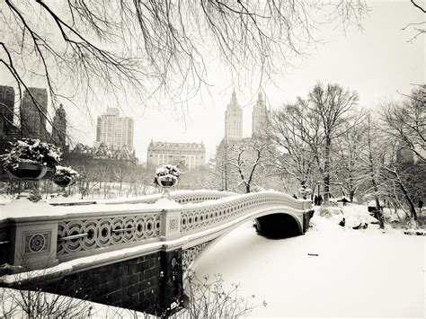 Vivienne Gucwa's Photos of the Snow in NYC