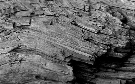 🔥 [40+] Wood Fiber Wallpapers | WallpaperSafari