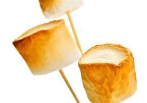 National Toasted Marshmallow Day! | Macaroni Kid St Charles